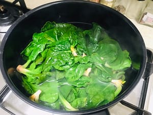 Palak Paneer Recipe